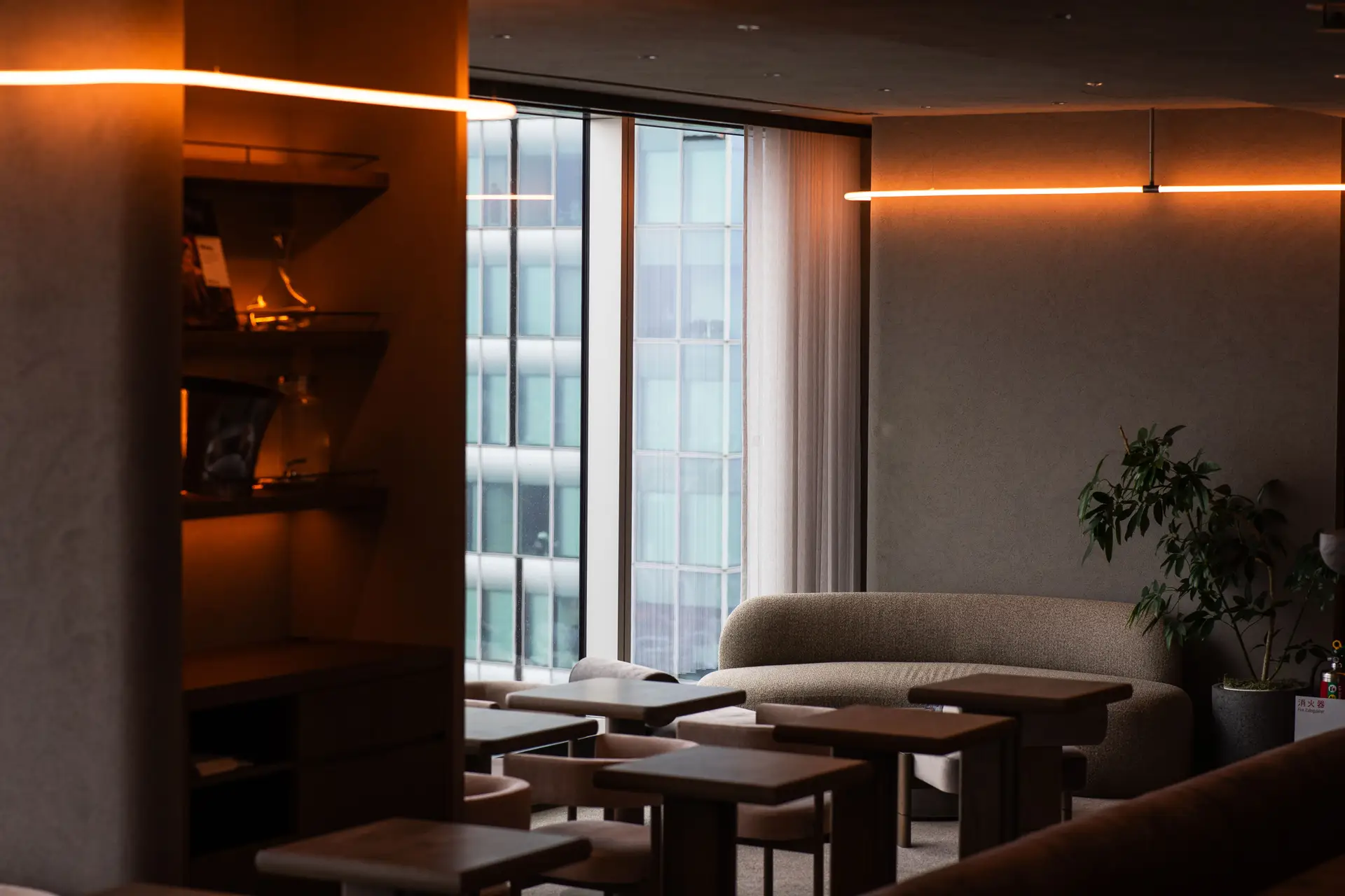 Lounge Nights